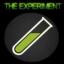 The Experiment