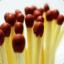 The Matchsticks